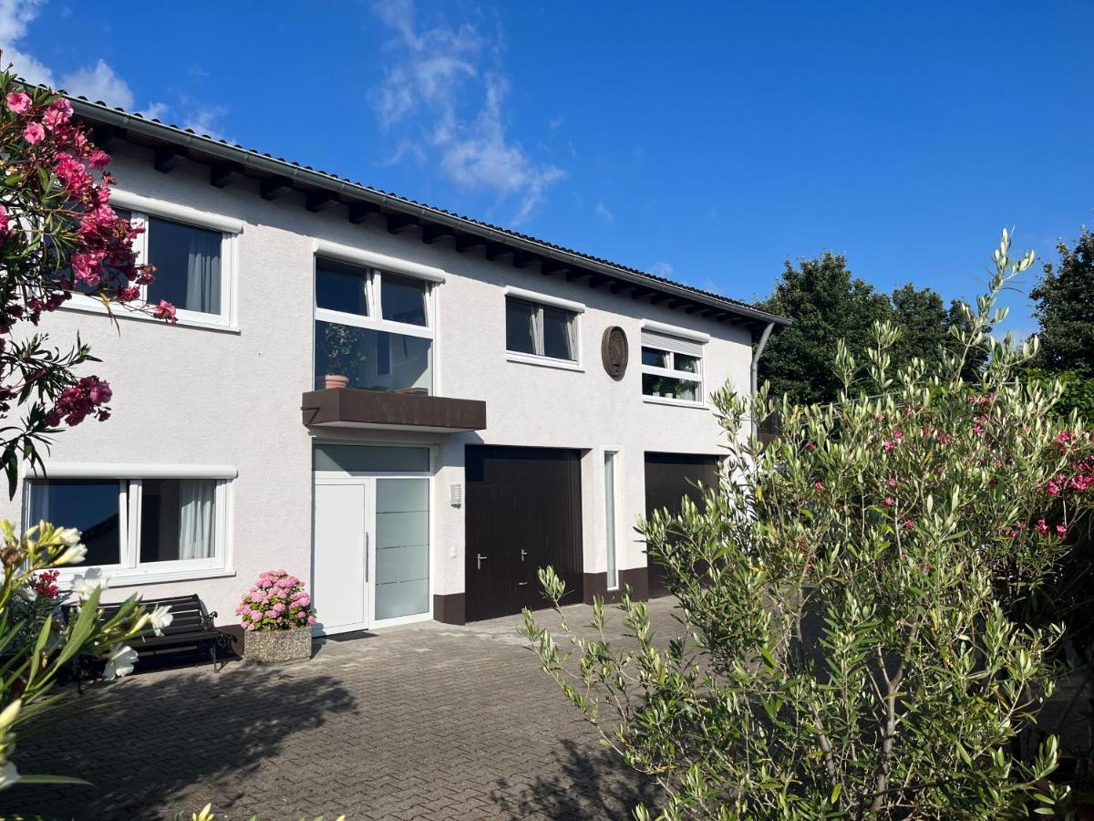 Apartment 100 Qm Im Weindorf - Balkon/Garage Aspisheim المظهر الخارجي الصورة