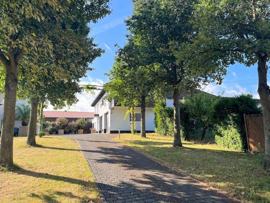Apartment 100 Qm Im Weindorf - Balkon/Garage Aspisheim المظهر الخارجي الصورة